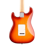 Fender American Professional Stratocaster - Sienna Sunburst With Maple Fingerboard