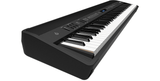 Roland FP-90 Digital Piano - Black
