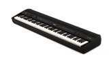 Roland FP-90 Digital Piano - Black