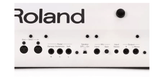 Roland FP-90 Digital Piano - White