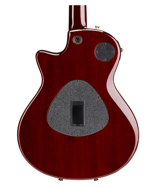 Taylor t5z deals pro borrego red