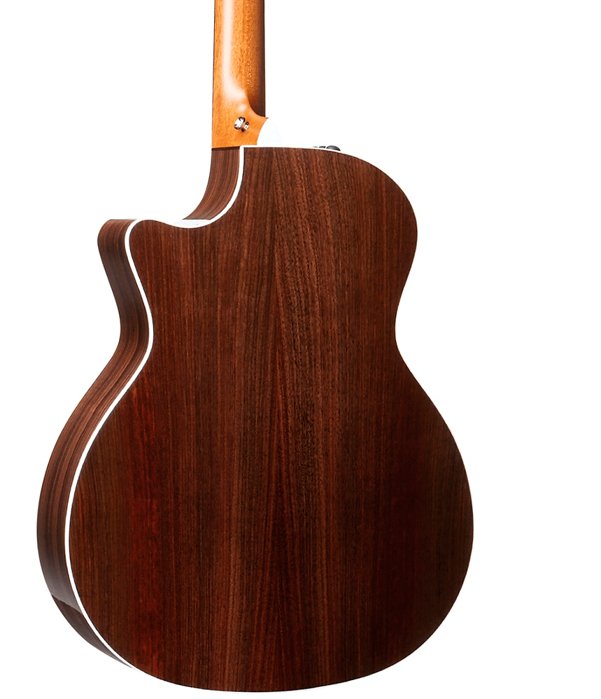 Taylor 414ce-R - Rosewood Back and Sides, V-class Bracing