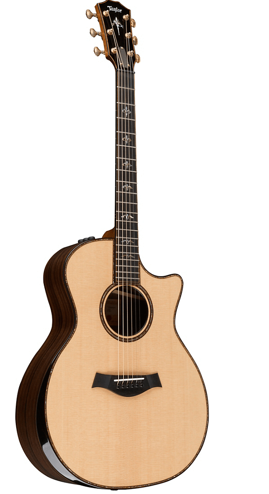 Taylor 914ce - Rosewood Back and Sides with V-class Bracing